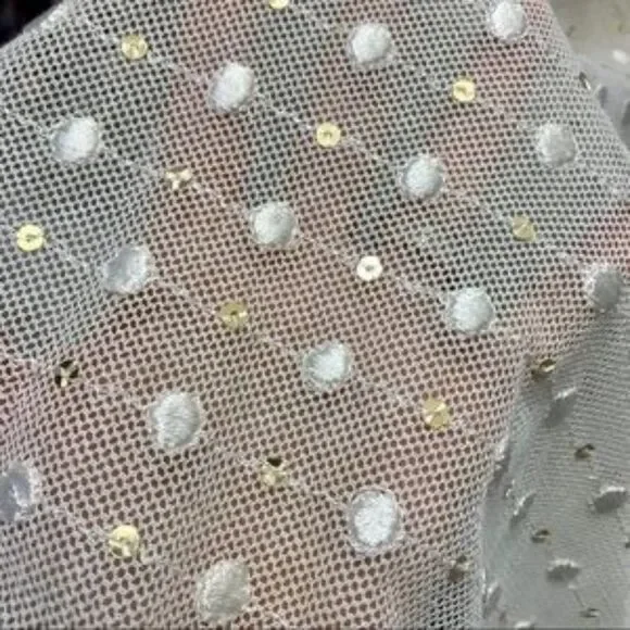 LEIFNOTES Net Dot & Gleam Sequin mesh asymmetrical short sleeve Dress size 4 - Picture 13 of 15